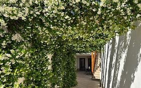 El Patio de los Jazmines